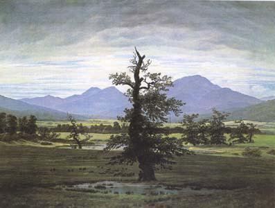 Caspar David Friedrich The Lone Tree